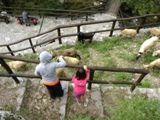 Clicca qui per vedere l'immagine in dettaglio